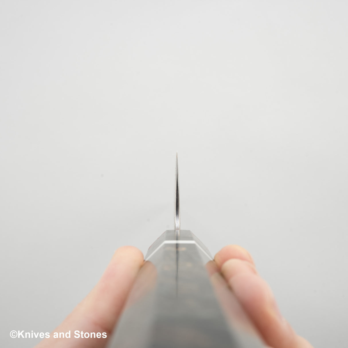 初心 FAXR2 大馬士革牛圖 270mm