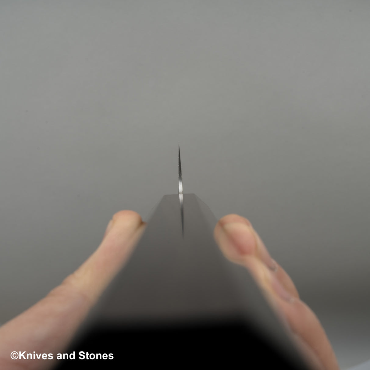 初心 FAXR2 三垣筋引 270mm