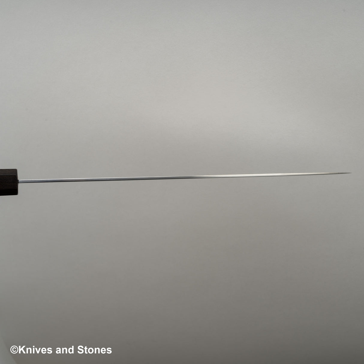 初心 FAXR2 三垣筋引 270mm