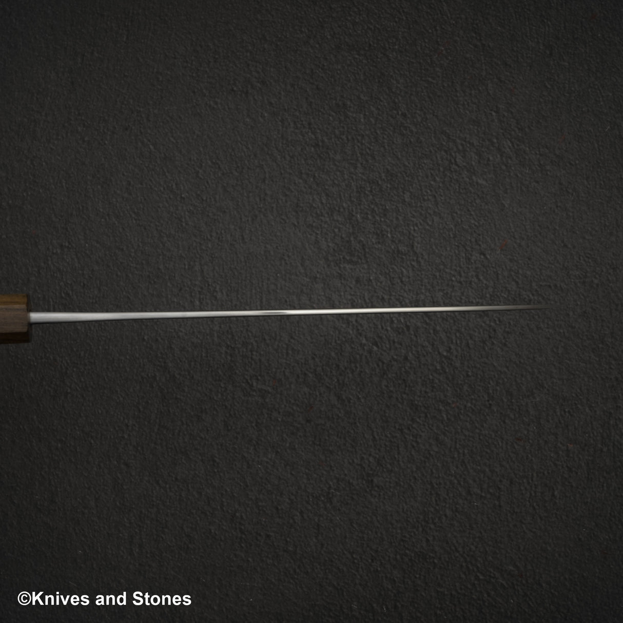 Hatsukokoro Kurokaze Blackwind 白色 2 Gyuto 210mm 不鏽鋼包層