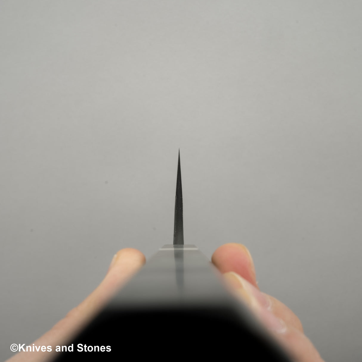 Hatsukokoro Shinkiro Aogami Super 黑內大馬士革 K-tip Gyuto 210mm