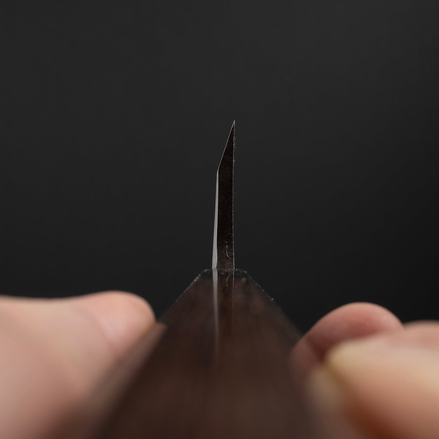 Hatsukokoro x Myojin Shirasagi Ginsan Deba 180mm