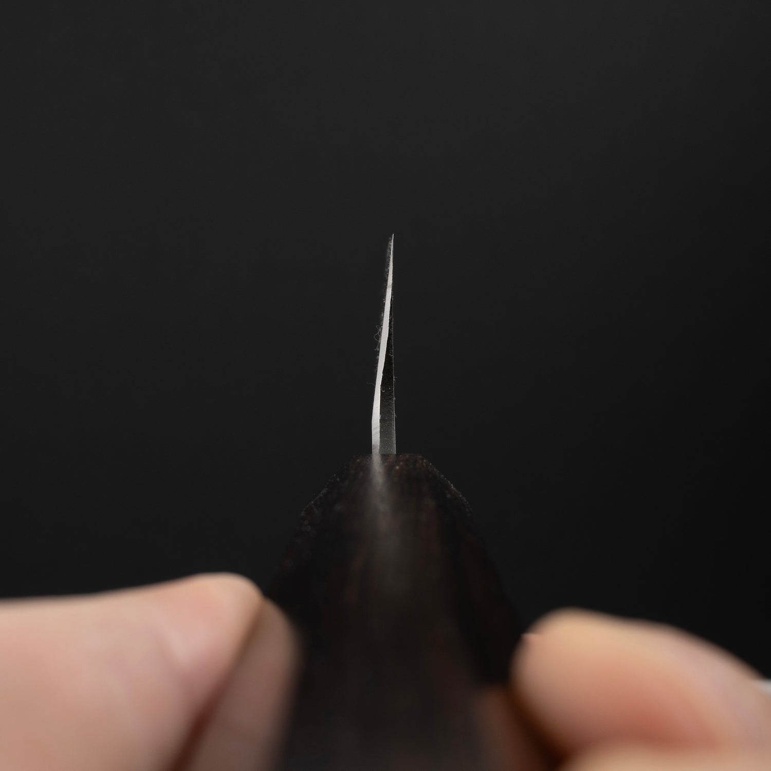 Hatsukokoro x Myojin Shirasagi Ginsan Kamagata Usuba 210mm