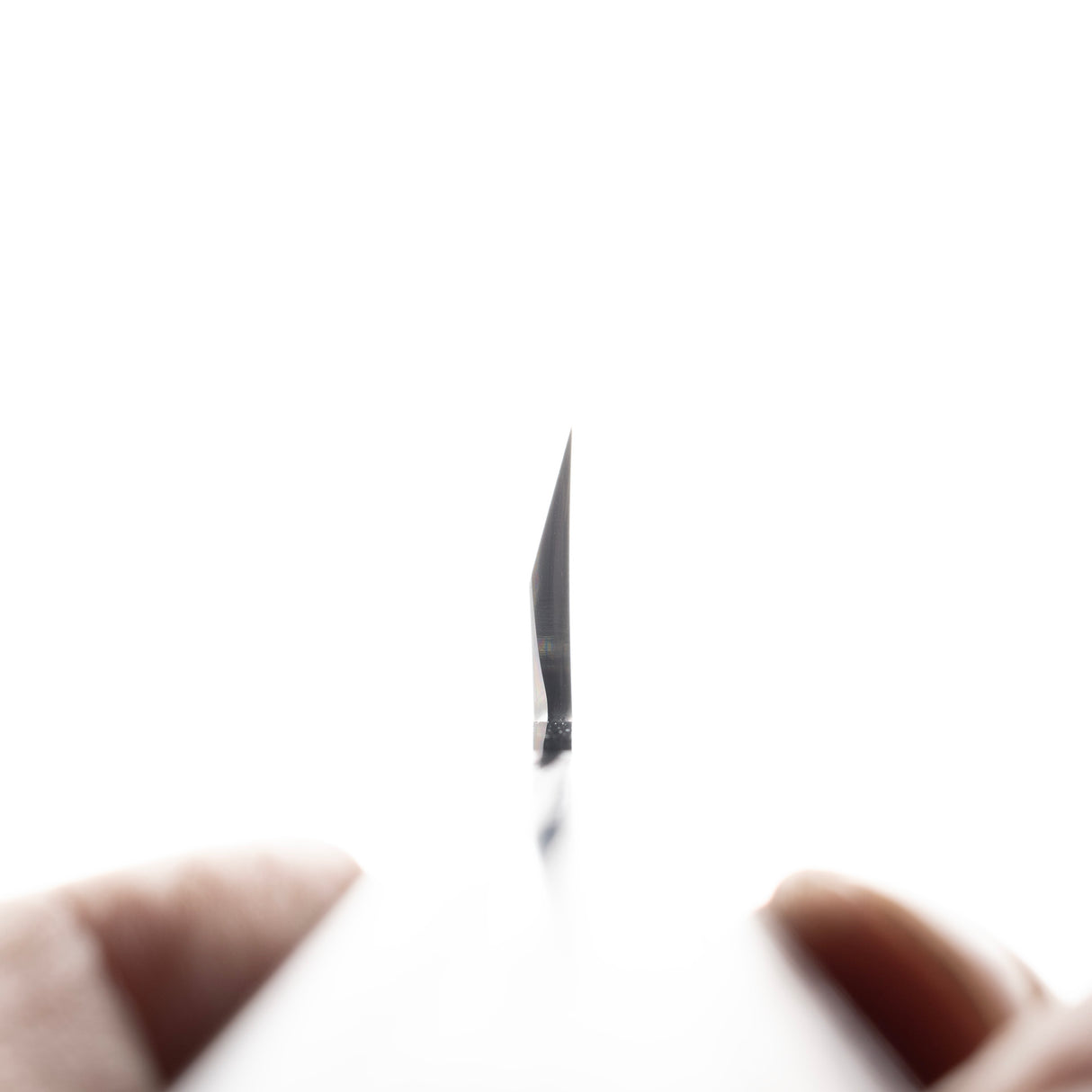 Hatsukokoro x Myojin Shirasagi White 2 Honesuki 剔骨刀 150mm