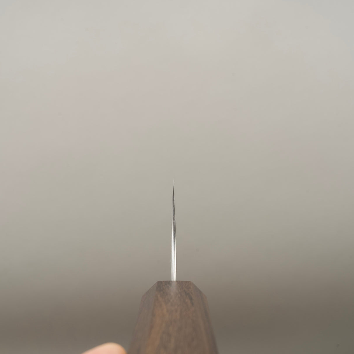 初心隼青神 Super Migaki Gyuto 210mm 黑色 Chacate