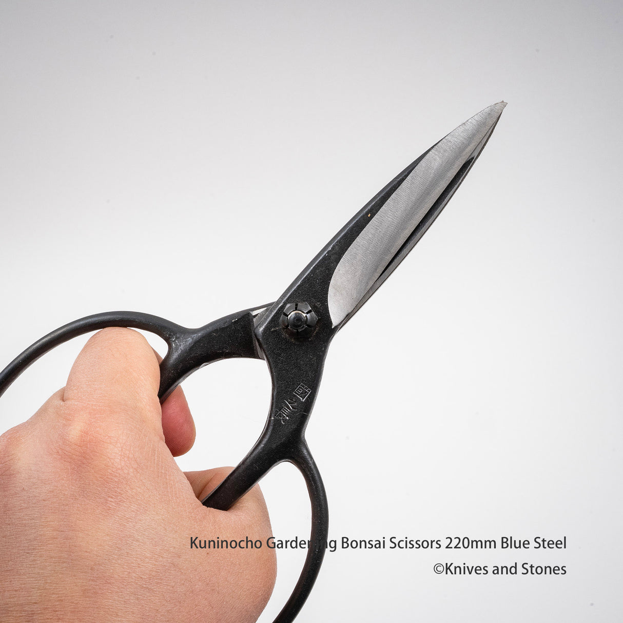 金星「Kuninocho」園藝剪刀(Kinboshi 出品)