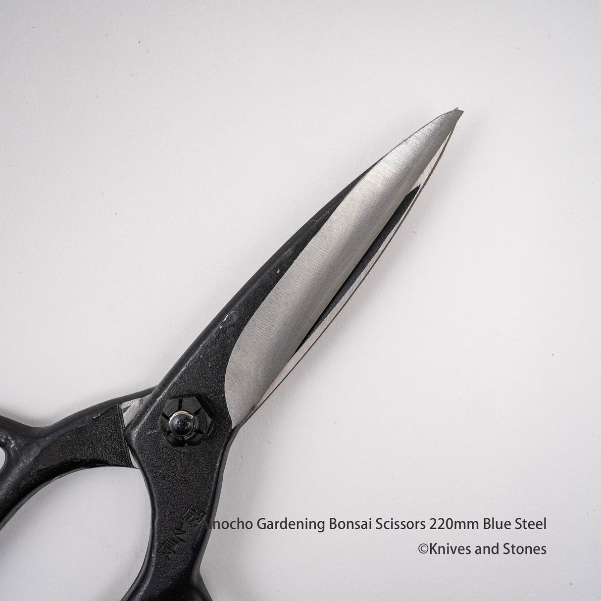 金星「Kuninocho」園藝剪刀(Kinboshi 出品)