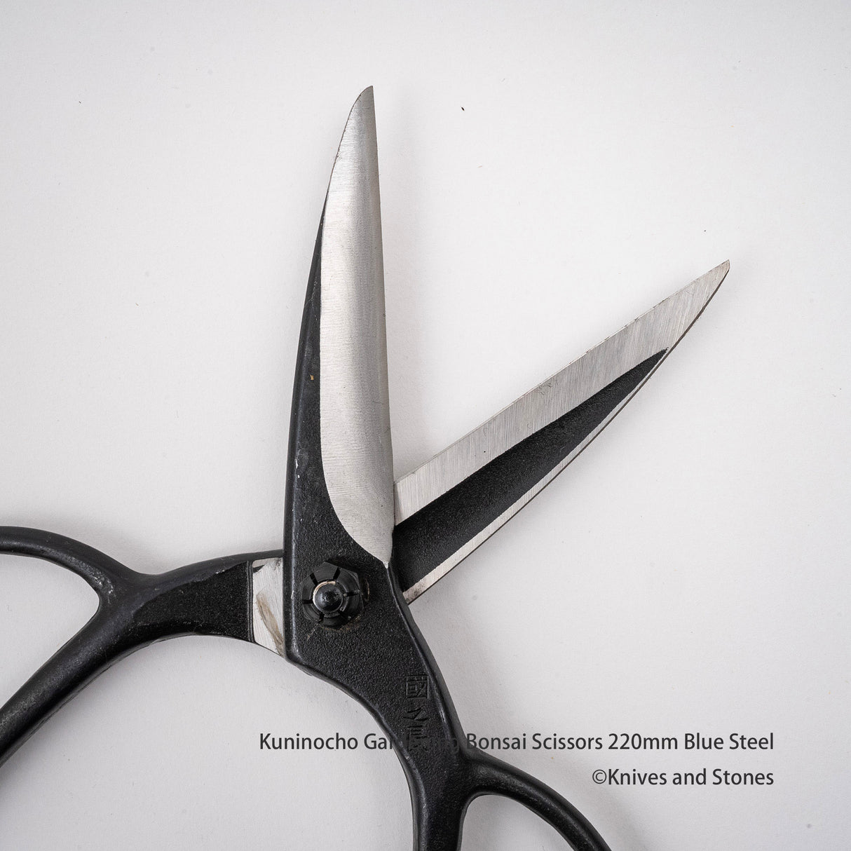 金星「Kuninocho」園藝剪刀(Kinboshi 出品)