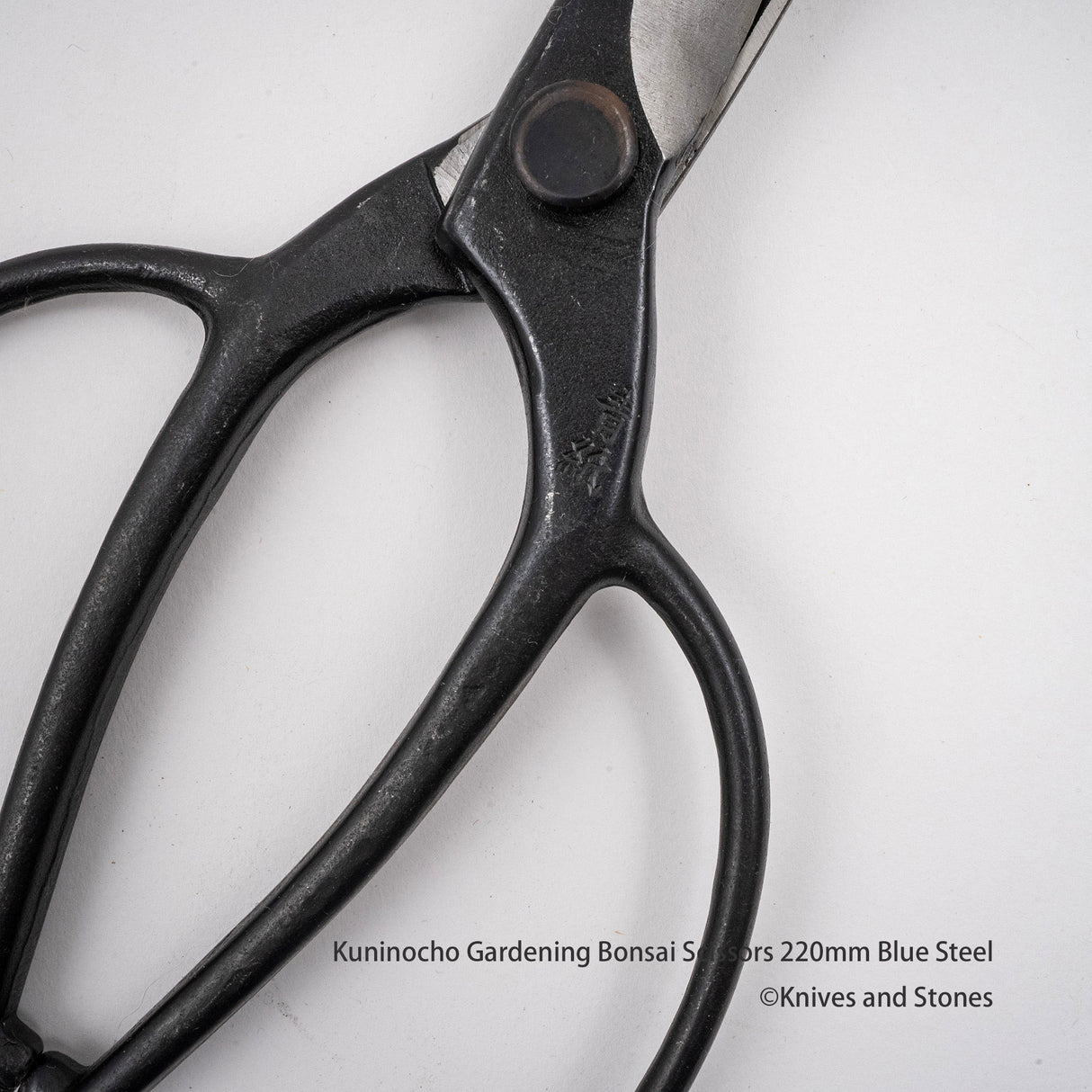 金星「Kuninocho」園藝剪刀(Kinboshi 出品)