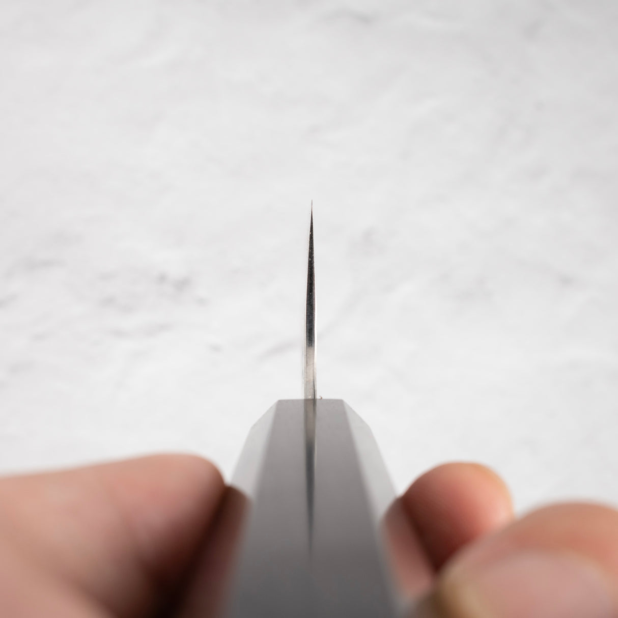 黑崎國線 Ei Aogami Super K Tip Gyuto 210mm 烏木手柄