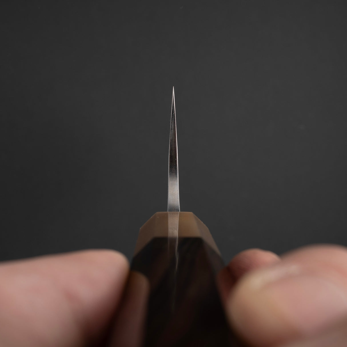 黑崎佐雨 COSP Gyuto 240mm