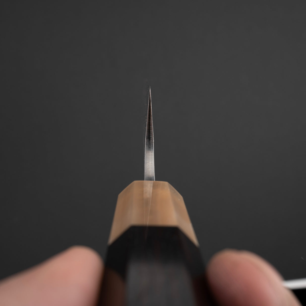 黑崎佐雨 COSP Sujihiki 240mm