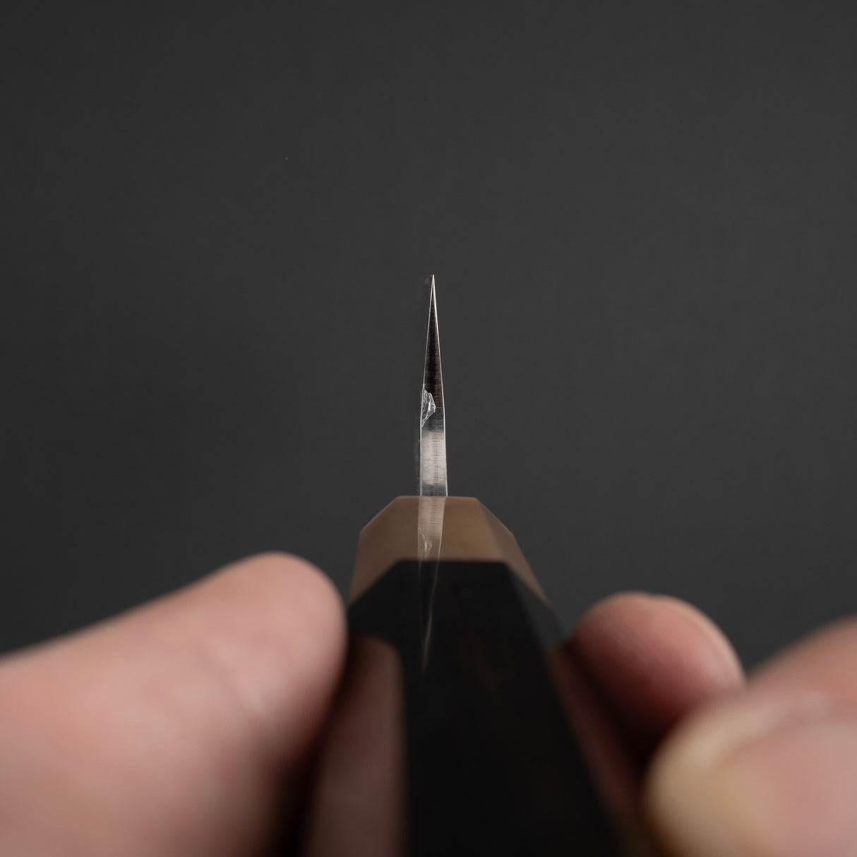 黑崎佐雨 COSP Sujihiki 270mm