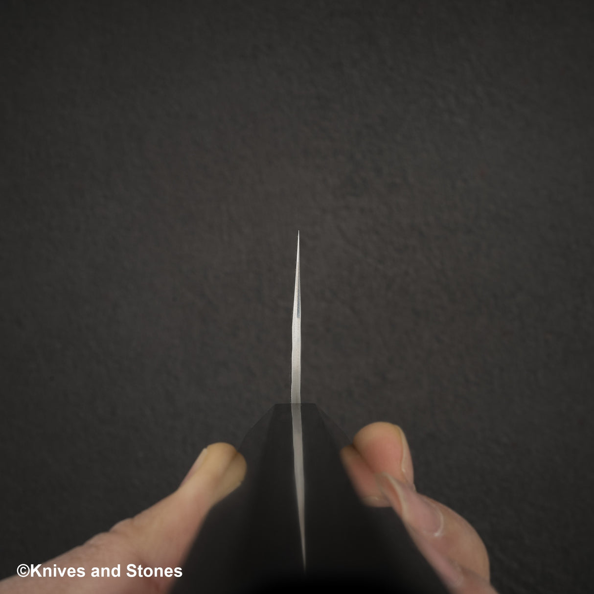 Kurosaki Senko Ei SG2 K-tip Gyuto 240mm 烏木