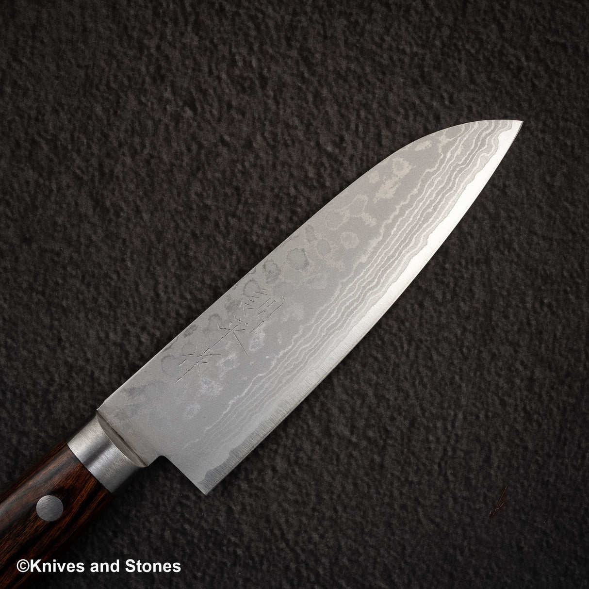 Masutani Sairyu VG10 Damascus Small Santoku 135mm Western Handle