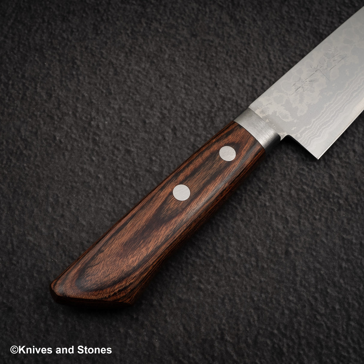 Masutani Sairyu VG10 Damascus Small Santoku 135mm Western Handle