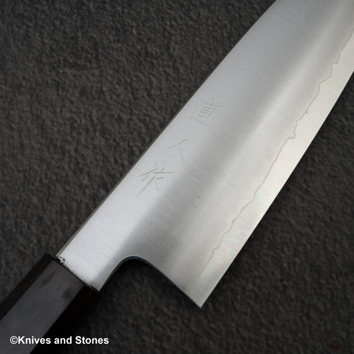 Myojin Cobalt Special COSP Santoku 180mm 烏木手柄