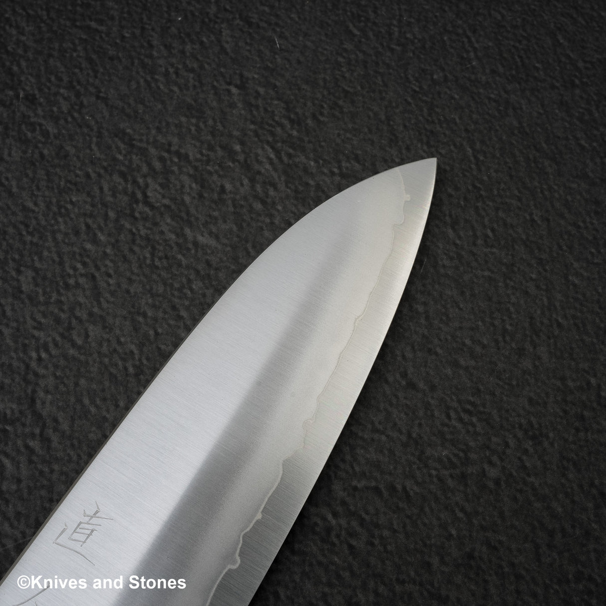 Myojin Cobalt Special COSP Santoku 180mm 烏木手柄