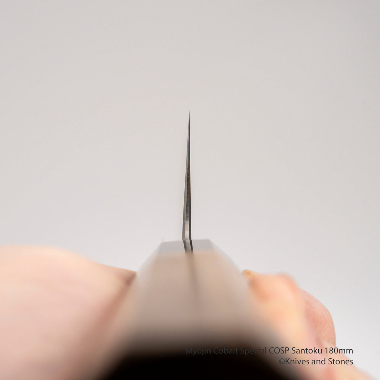 Myojin Cobalt Special COSP Santoku 180mm