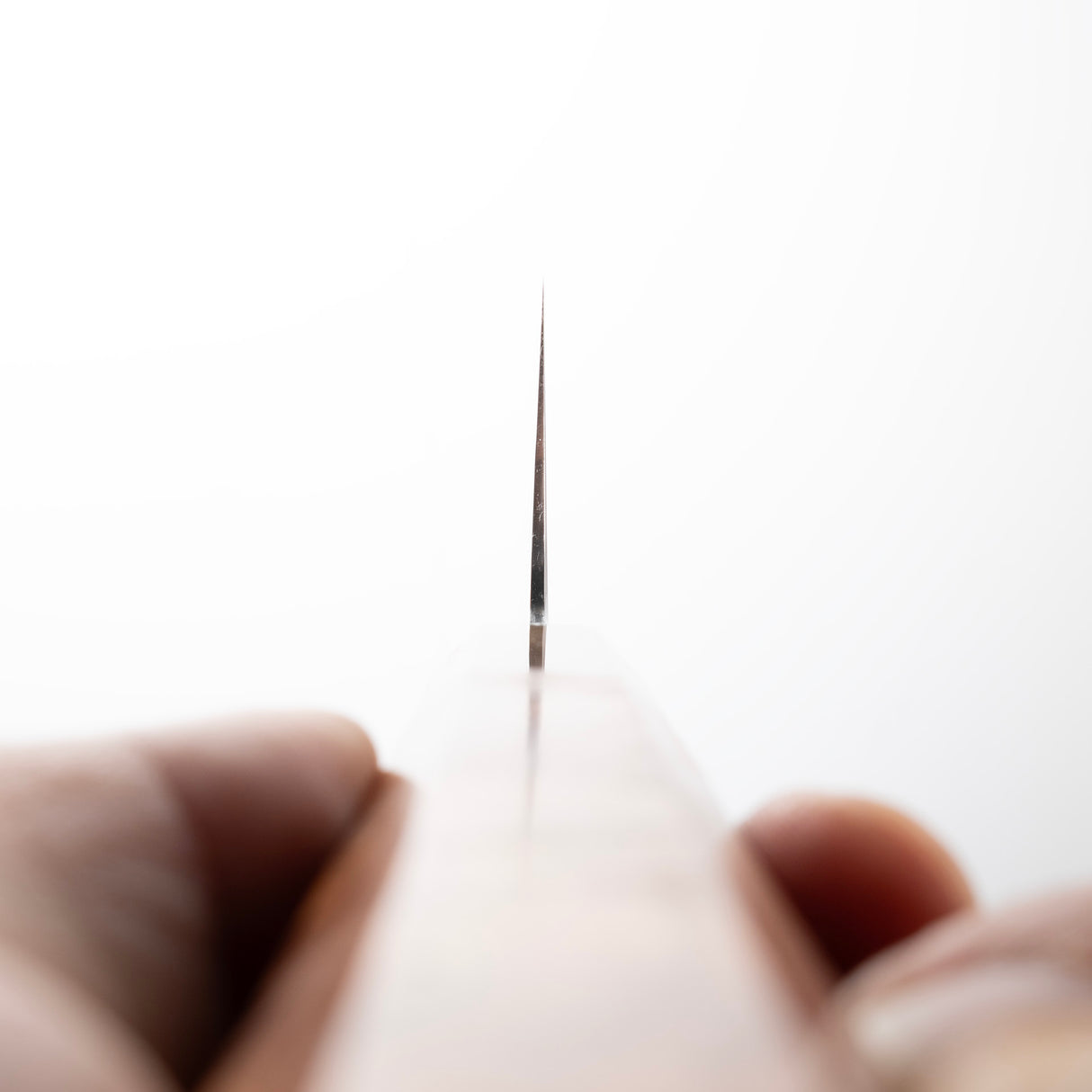 明神利器制作所 SG2 牛刀 240mm 花梨瘤柄