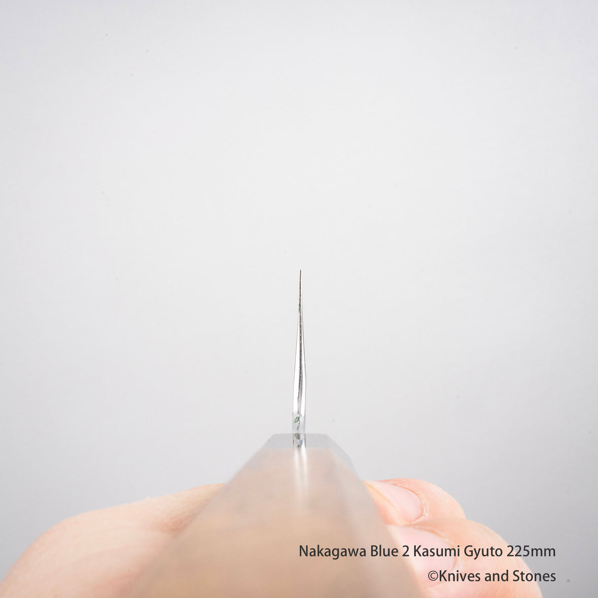 Nakagawa Blue 2 Kasumi 寬斜角 Gyuto 225/255 毫米