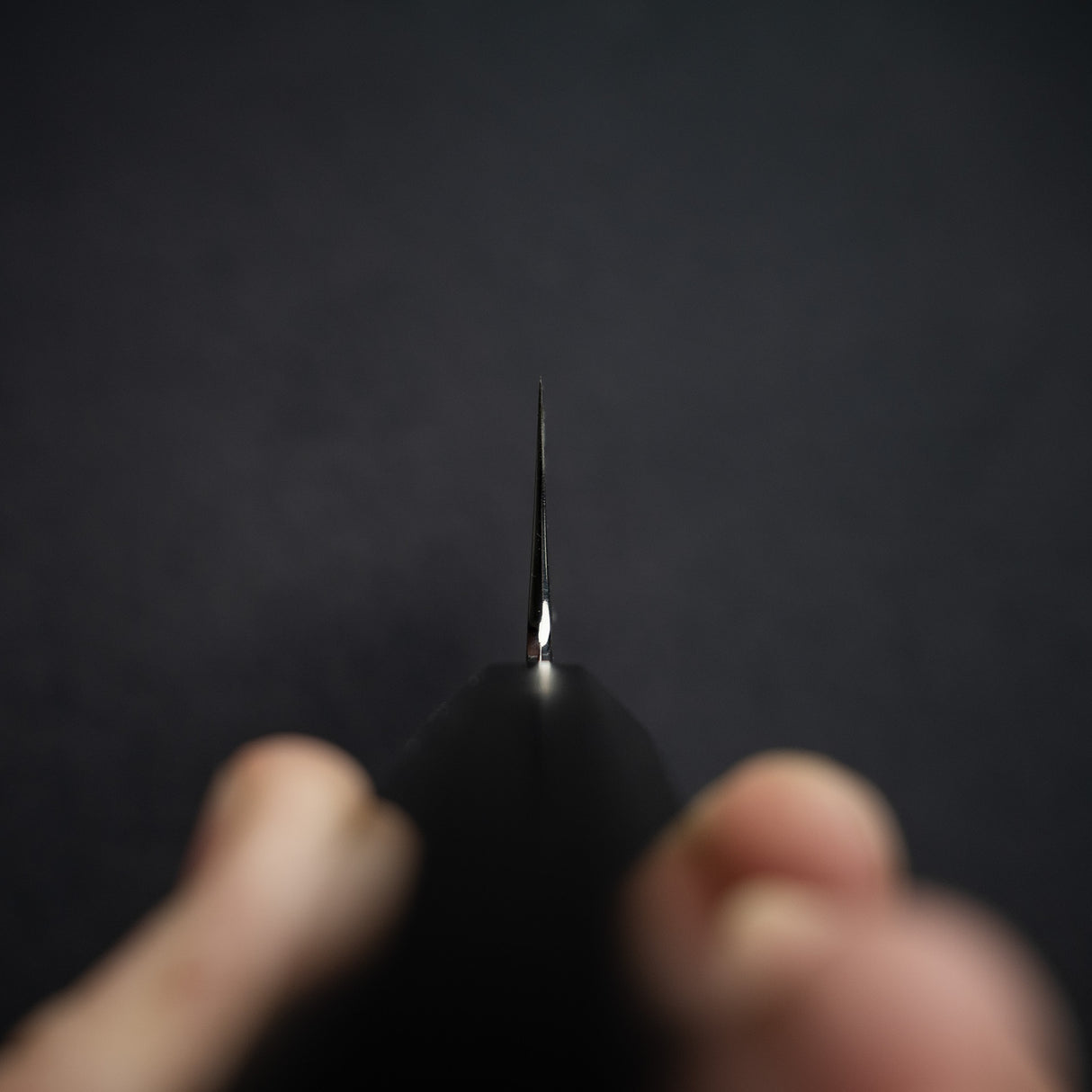 Hatsukokoro x Nakagawa Ginsan Wide-bevel K-tip Gyuto 270mm Ebony