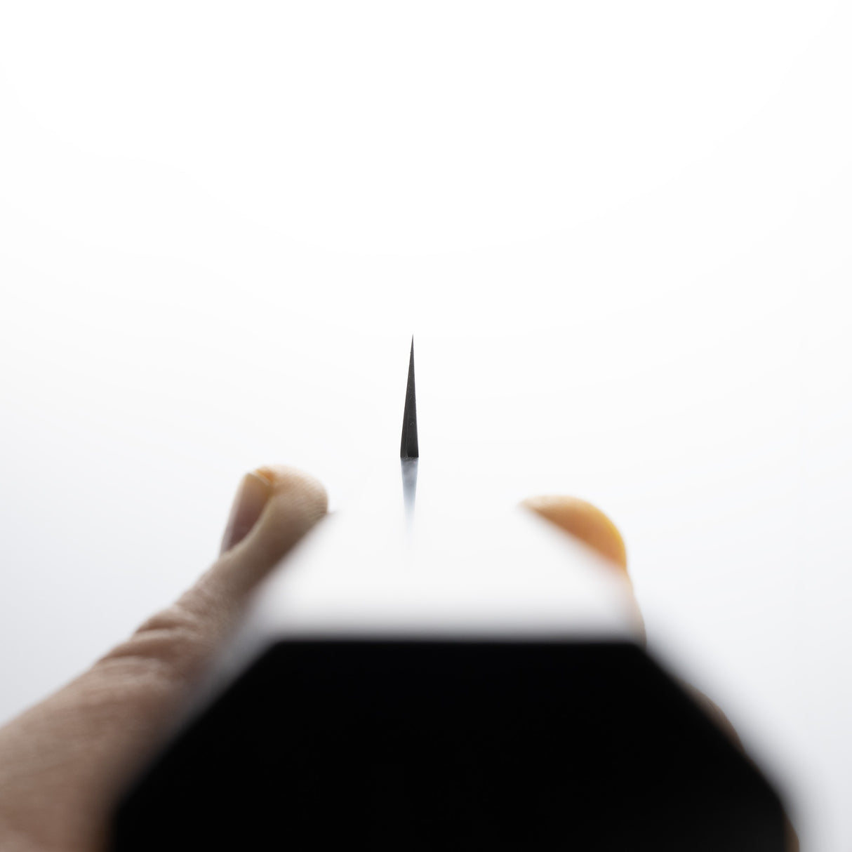 Nakagawa Ginsan K-tip Yanagiba 300 mm Mirror-polished Ebony