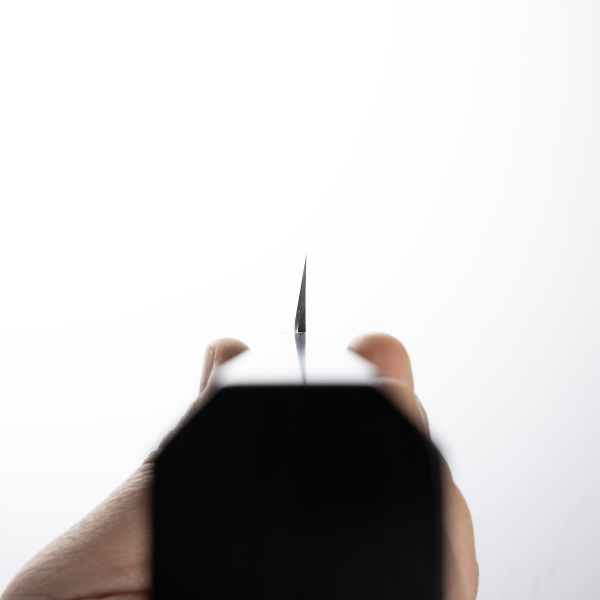 Nakagawa Ginsan Sakimaru Takobiki 300mm Mirror Polished Ebony by Hatsukokoro