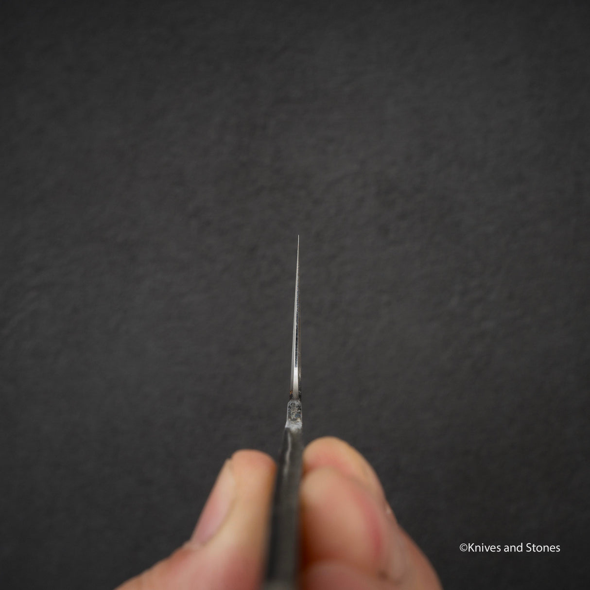 Nakakawa White 2 Mizu-Honyaki Gyuto 210mm 僅刀片