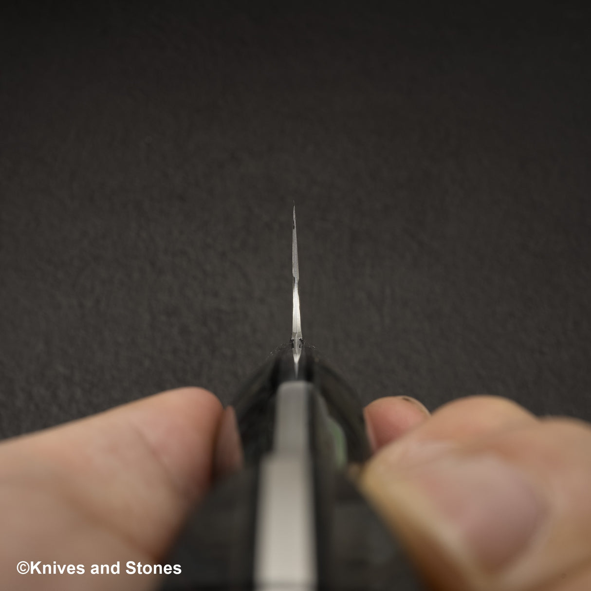 Nigara Anmon(暗紋)SG2 雨滴大馬士革 Gyuto 210 毫米珍珠母貝鑲嵌手柄