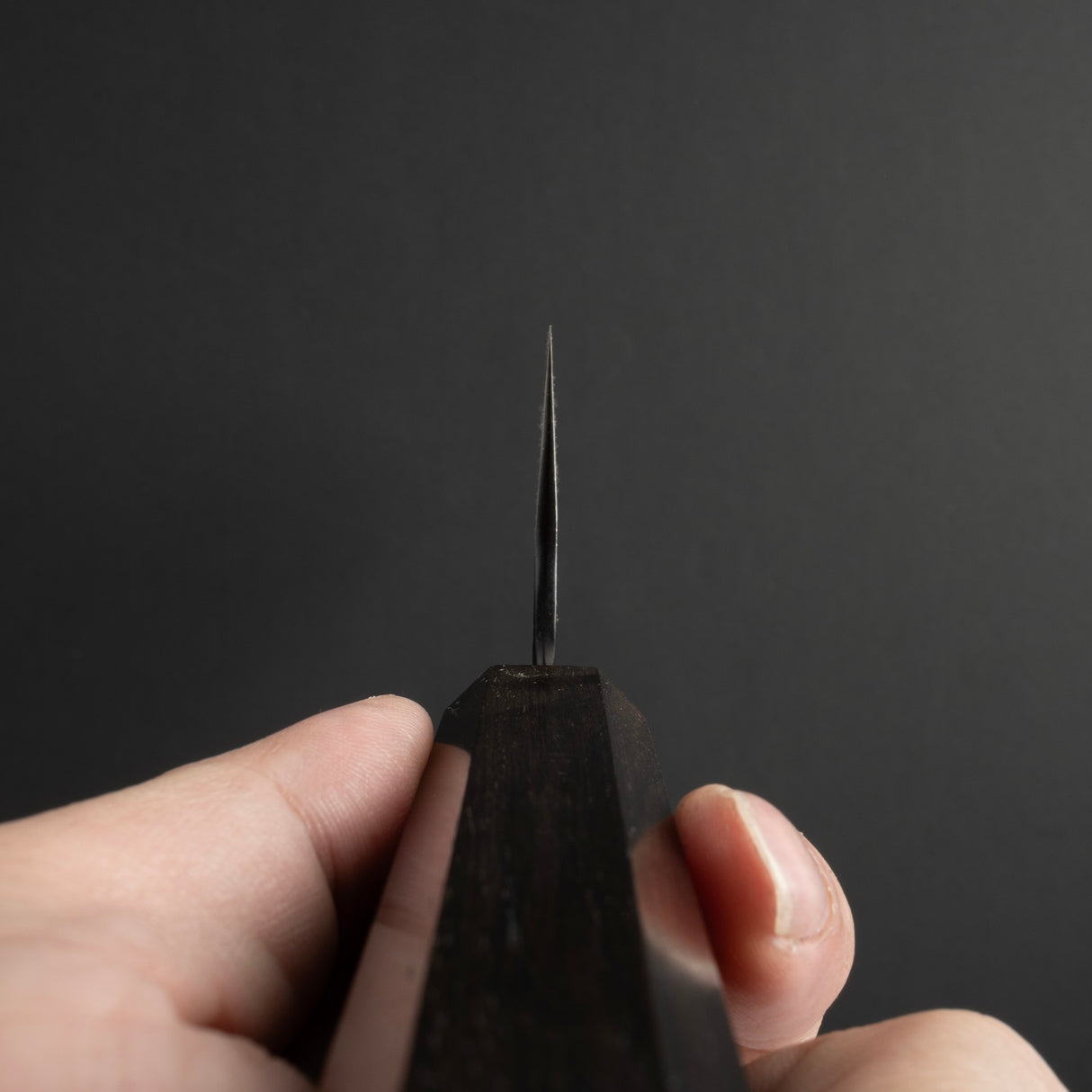 Nigara SG2 Kurouchi Tsuchime K tip Gyuto 210mm