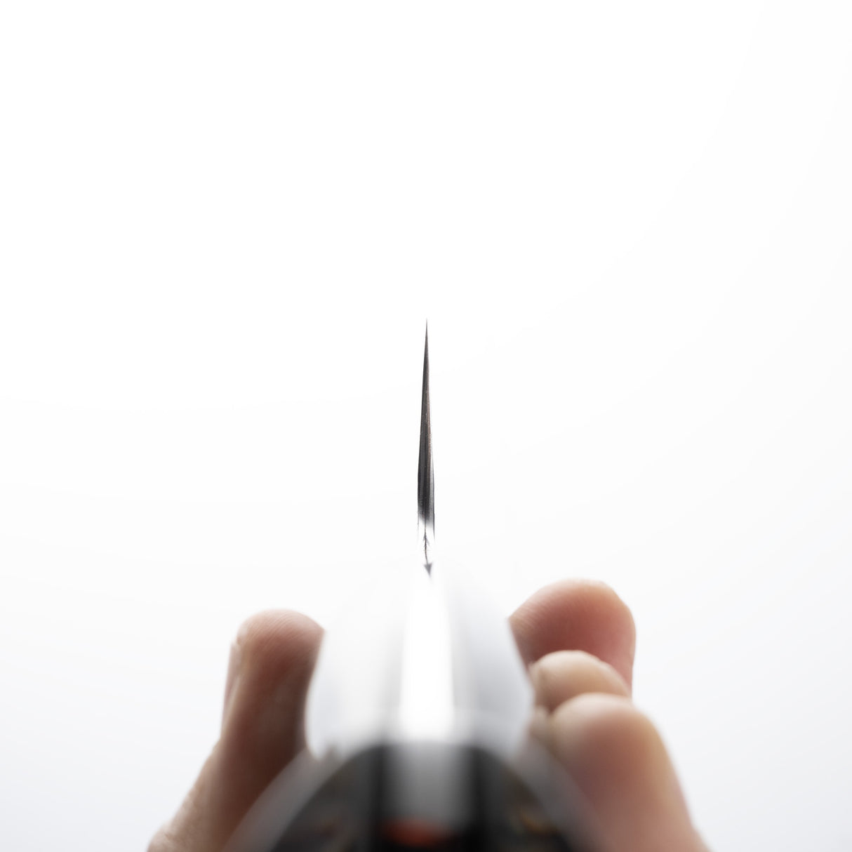 二唐 SG2 珍珠母 魚尾型筋引 270mm 黑打槌目