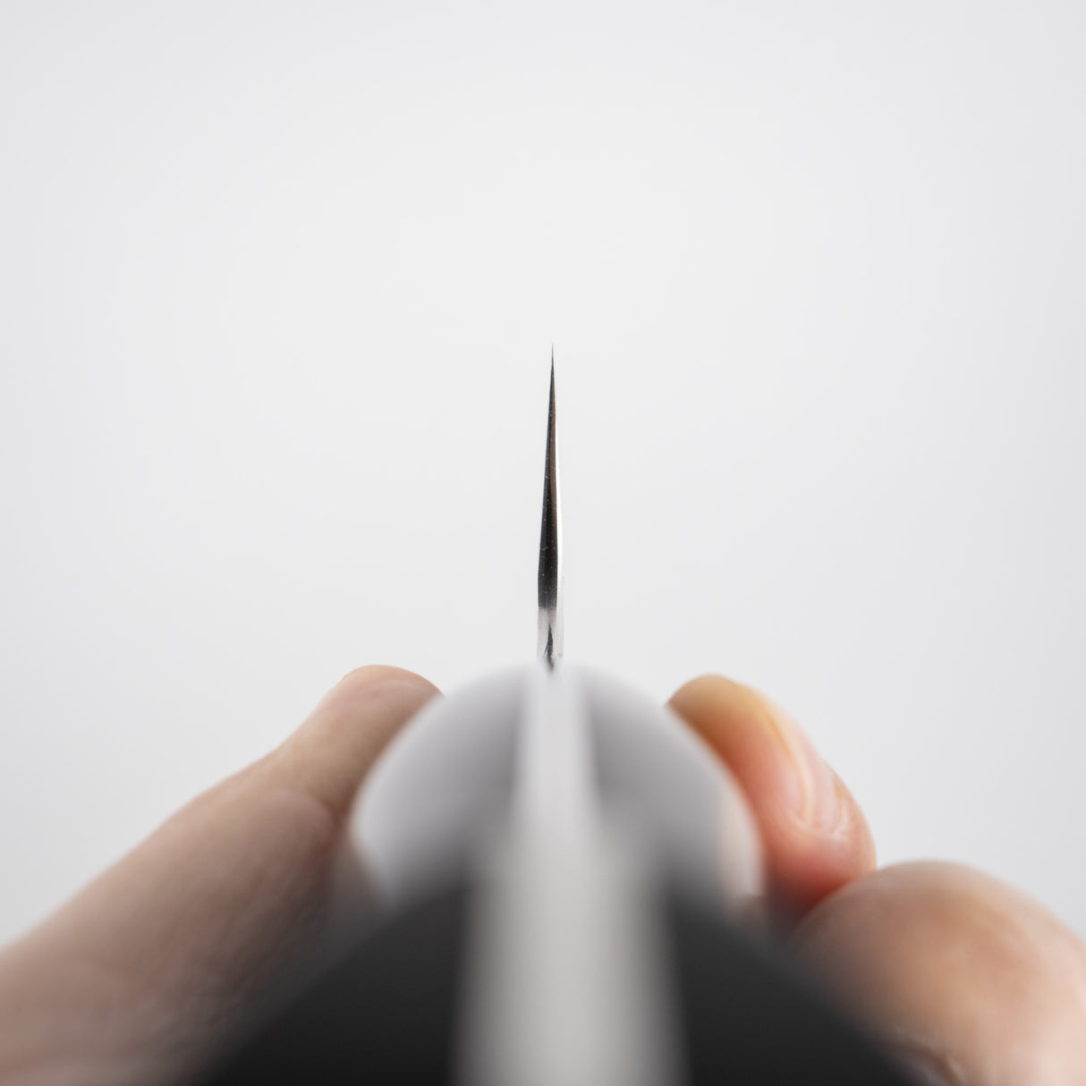 Nigara SG2 Tsuchime Matt Migaki Gyuto 210mm 西部鐵木