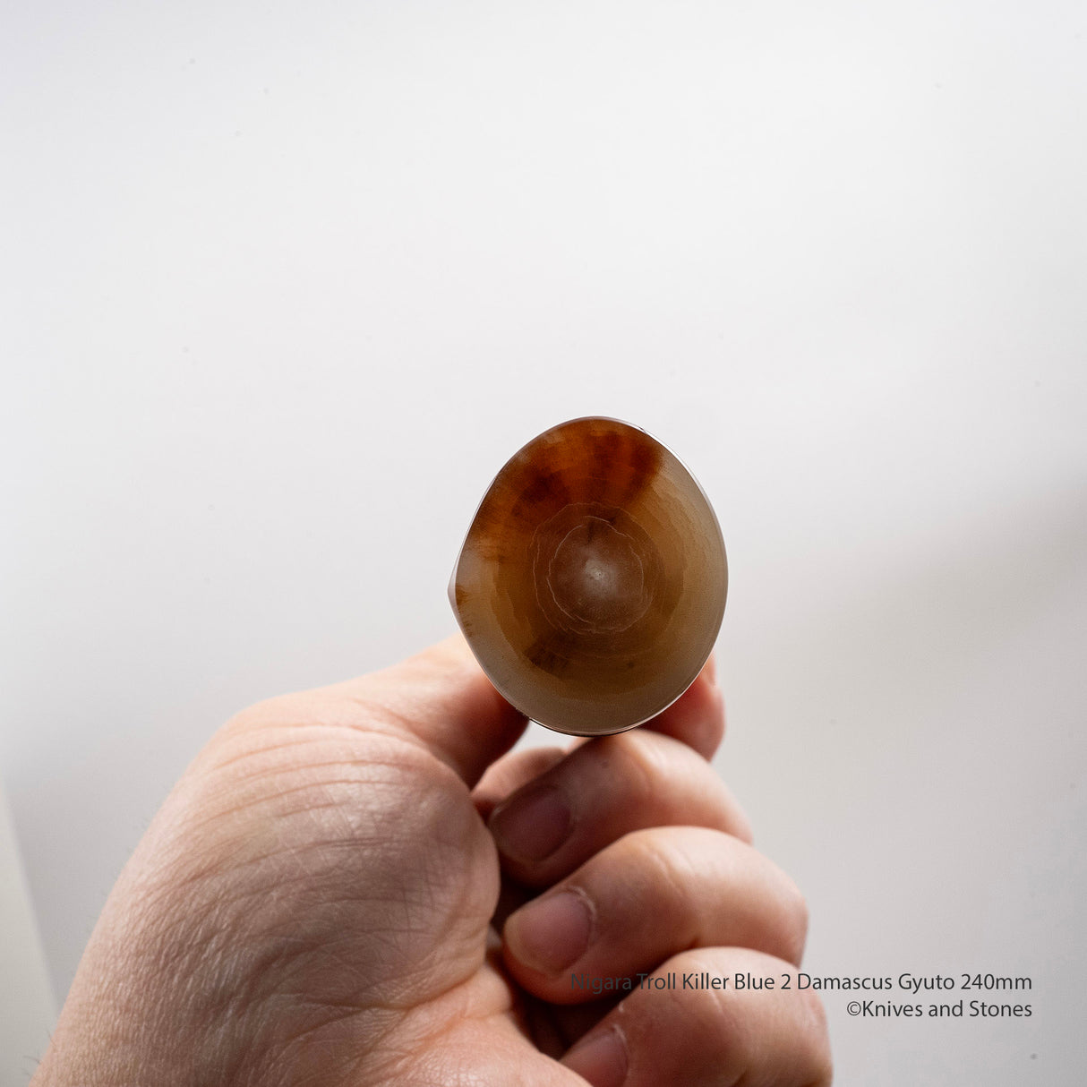 Nigara Troll Killer "Onikoroshi" Aogami #2 Damascus 240mm Gyuto