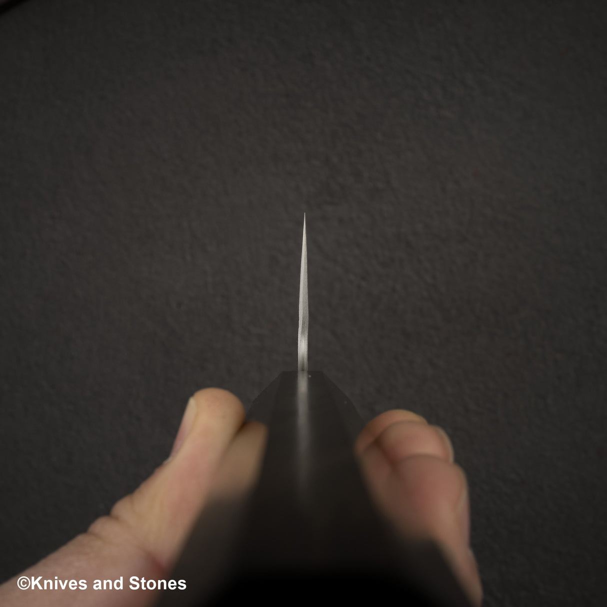 Nigara VG10 大馬士革 Tsuchime Gyuto 240mm 黑色 Chacate