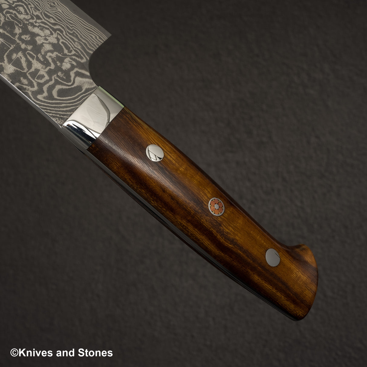 Takeshi Saji SG2 黑色大馬士革牛刀 210 毫米鐵木