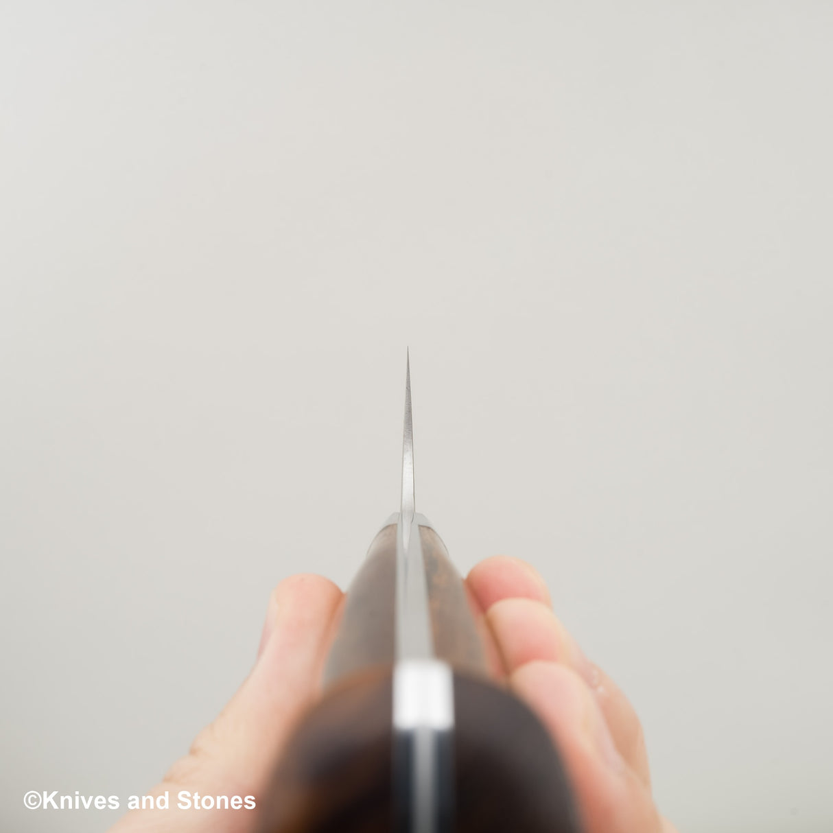 Takeshi Saji SG2 黑色大馬士革牛刀 210 毫米鐵木