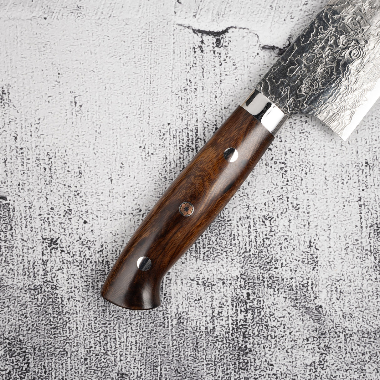 Takeshi Saji 鑽石大馬士革 SG2 Gyuto 240 毫米鐵木手柄