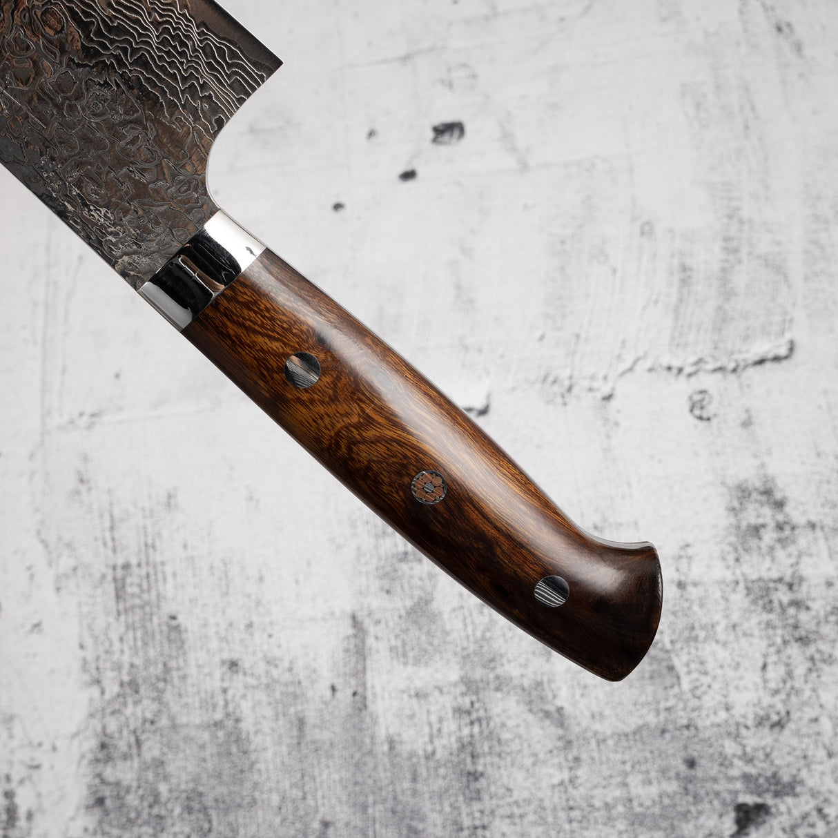 Takeshi Saji 鑽石大馬士革 SG2 Gyuto 240 毫米鐵木手柄