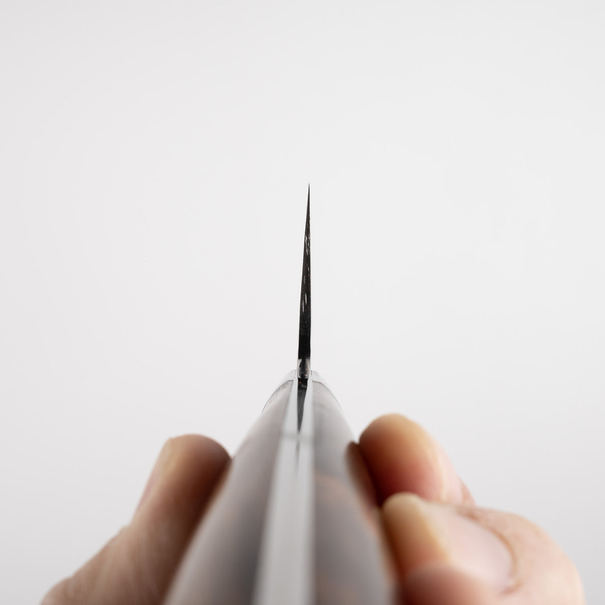 Takeshi Saji 鑽石大馬士革 SG2 Gyuto 240 毫米鐵木手柄