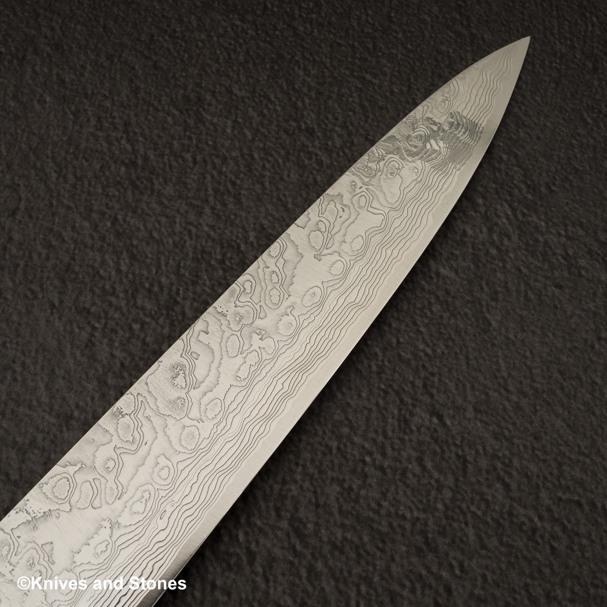 Takeshi Saji SG2 鑽石大馬士革 Sujihiki 270mm 鐵木