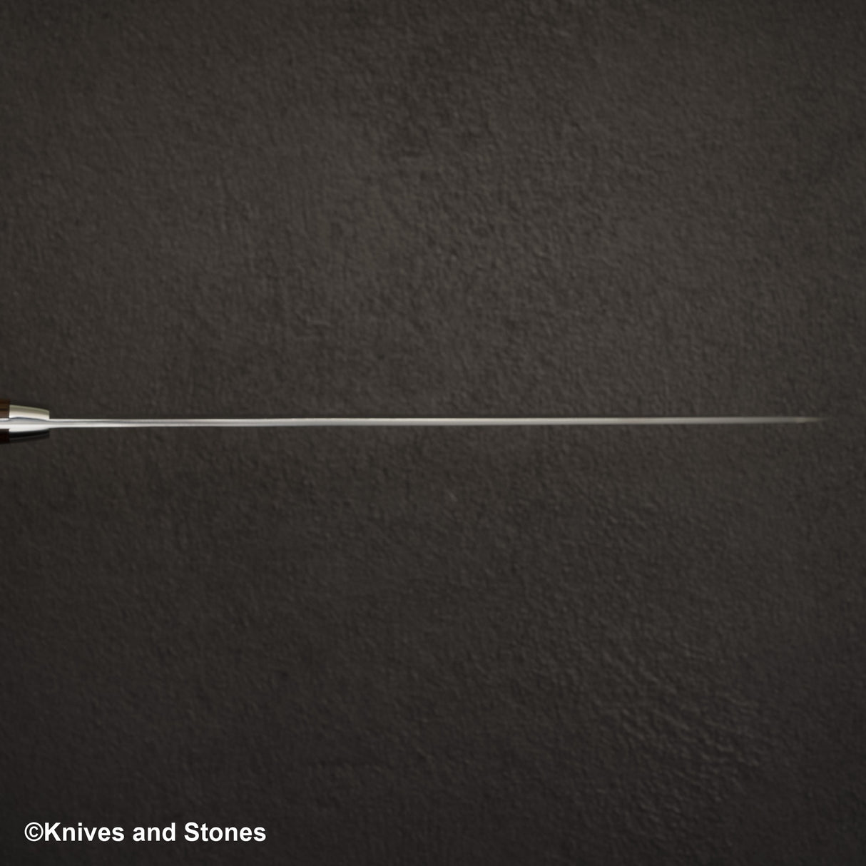 Takeshi Saji SG2 鑽石大馬士革 Sujihiki 270mm 鐵木