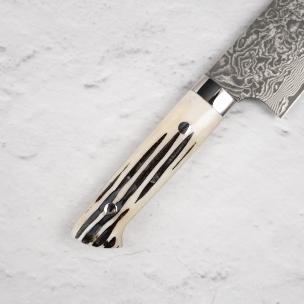 Saji Black Damascus Gyuto 210mm SG2 Stag Handle