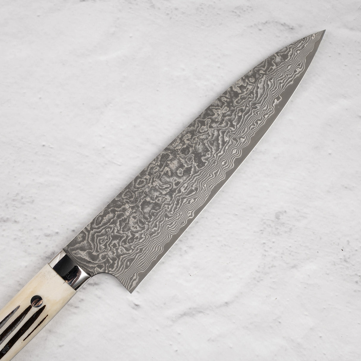 Saji Black Damascus Gyuto 210mm SG2 Stag Handle