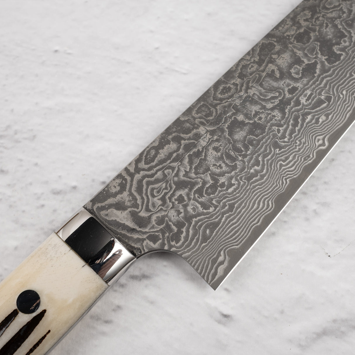 Saji Black Damascus Gyuto 210mm SG2 Stag Handle