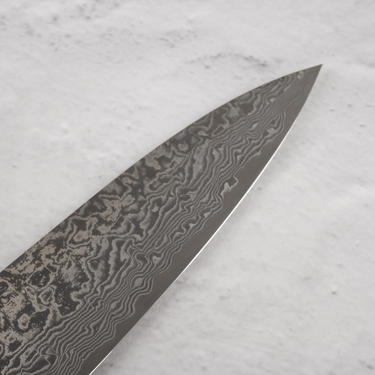Saji Black Damascus Gyuto 210mm SG2 Stag Handle