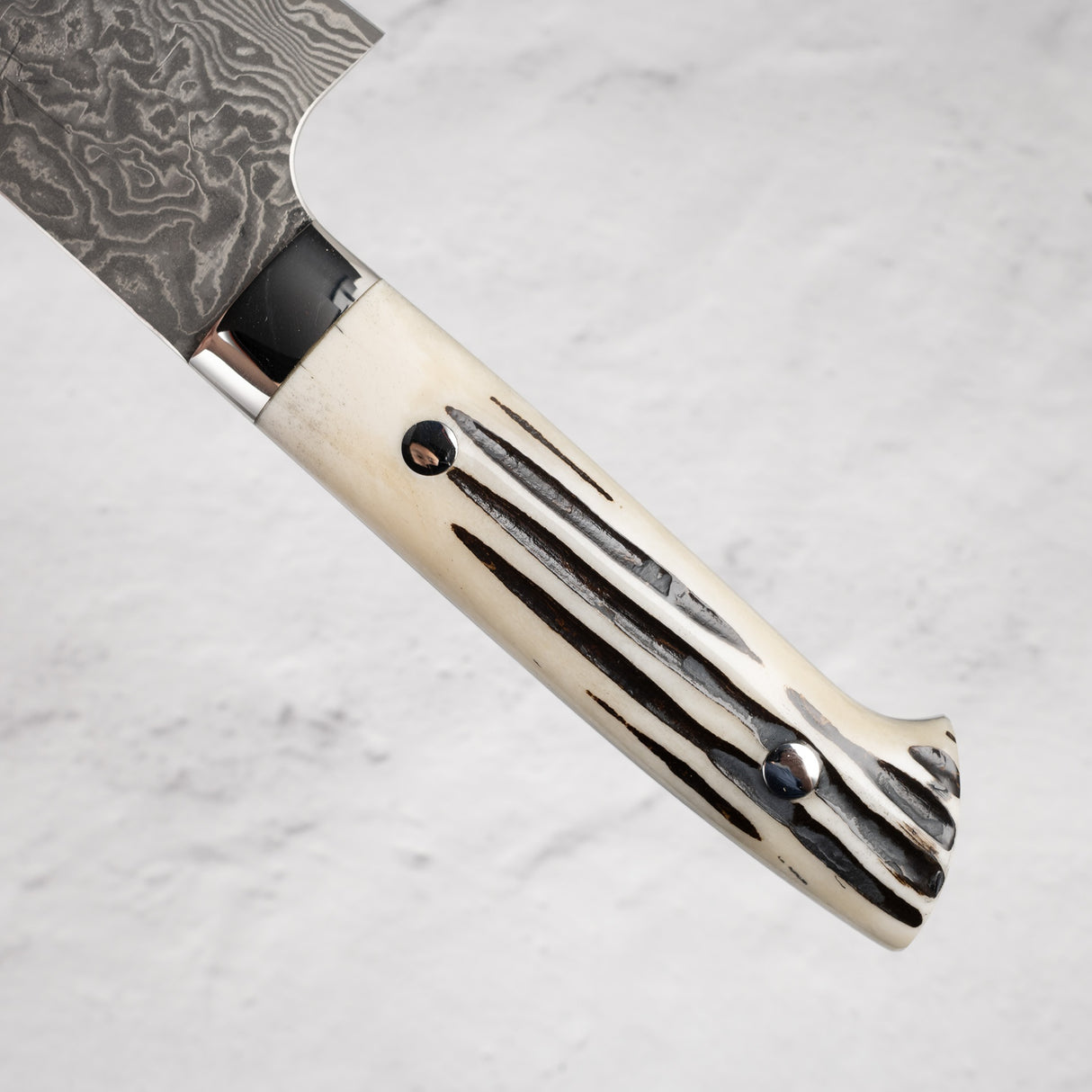 Saji Black Damascus Gyuto 210mm SG2 Stag Handle