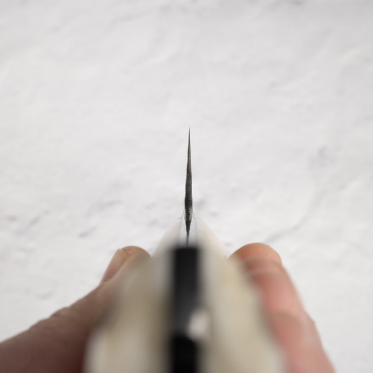 Saji Black Damascus Gyuto 210mm SG2 Stag Handle