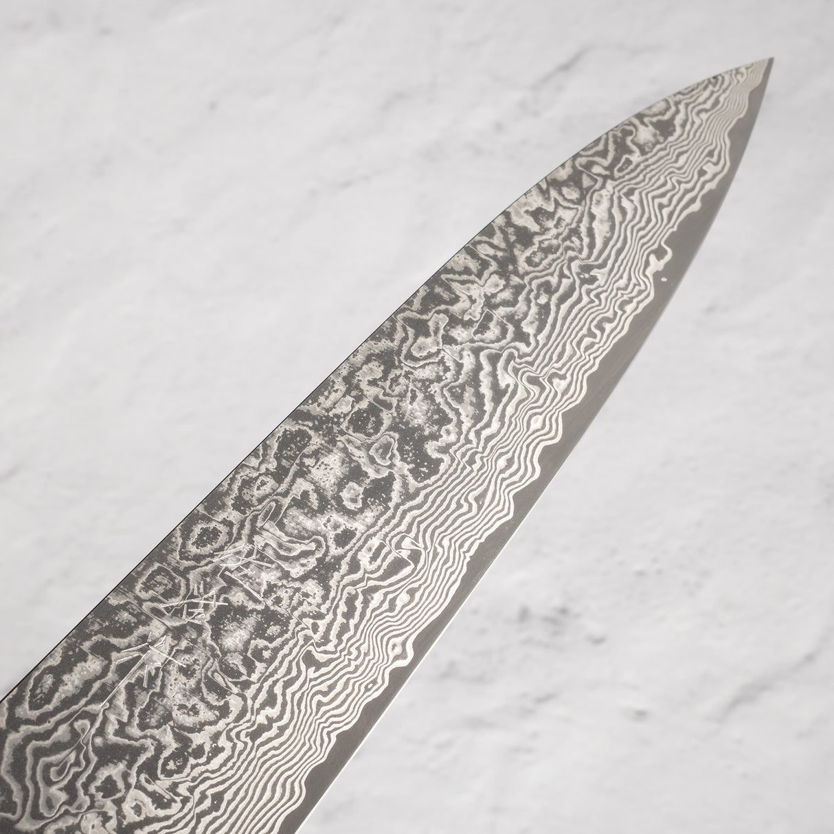 Saji Black Damascus Gyuto 210mm SG2 Stag Handle