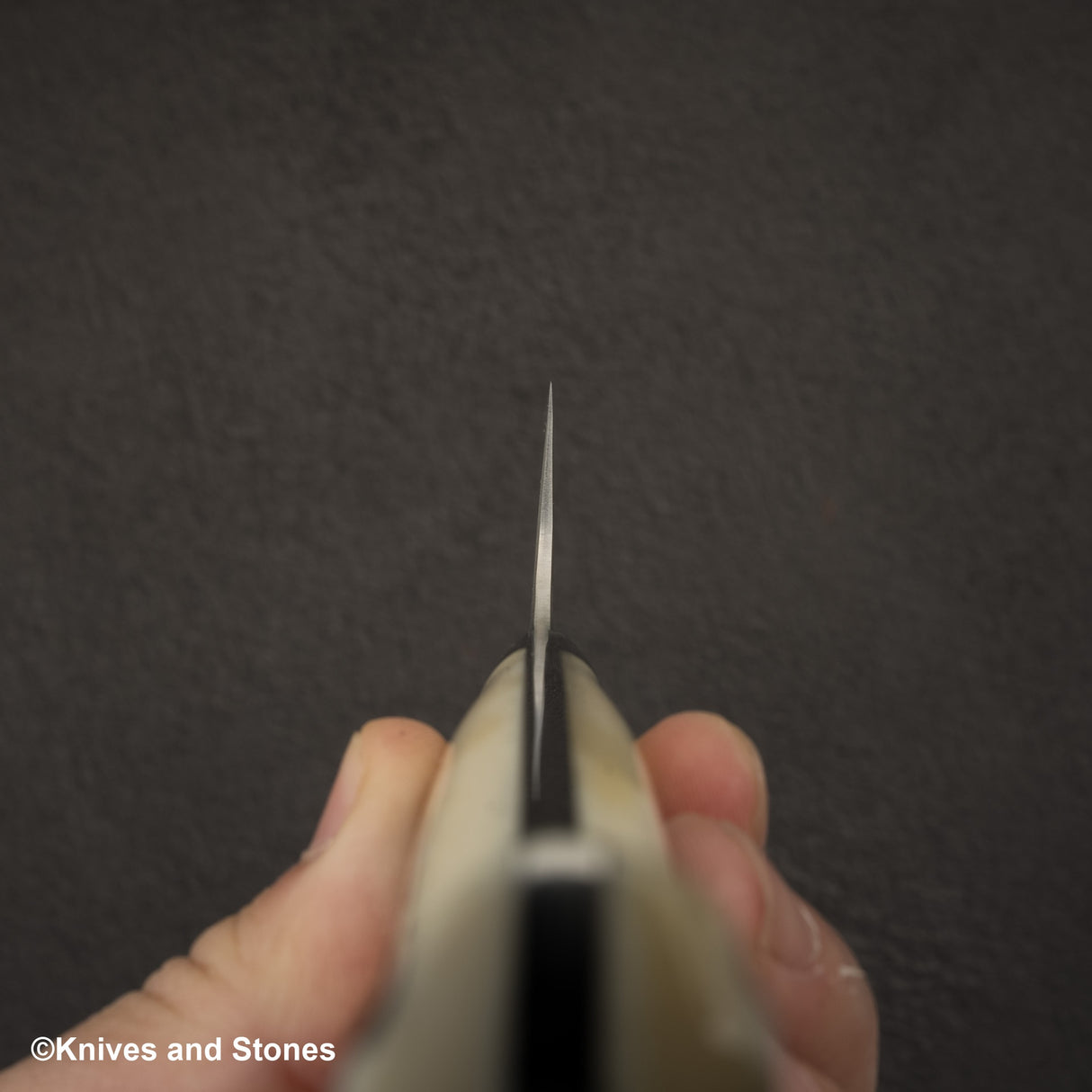 Takeshi Saji SG2 黑色大馬士革 Bunka 180 毫米鹿角柄